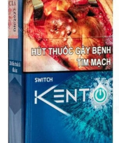 Vietnamese Kent Switch