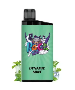 IGET Bar Dynamic Mint 2PCS